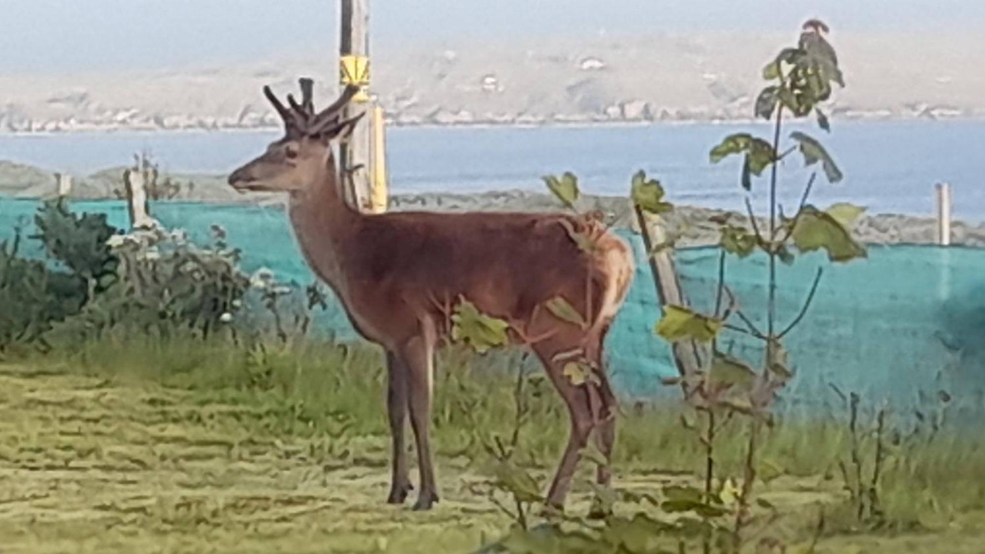 Big Sand Otters Retreat B&B 외부 사진